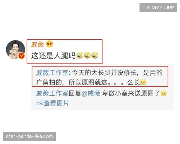 昌雅妮从机场到训练场的那套行头，普通人看了只会默默翻银行卡余额